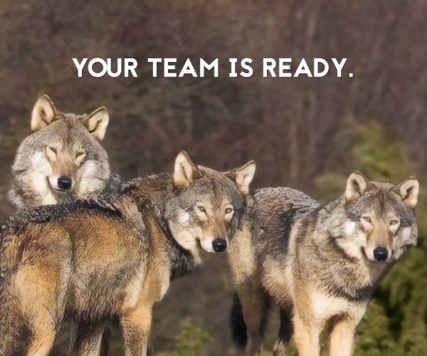 Lone Wolf Business Concierge business efficiency consultant