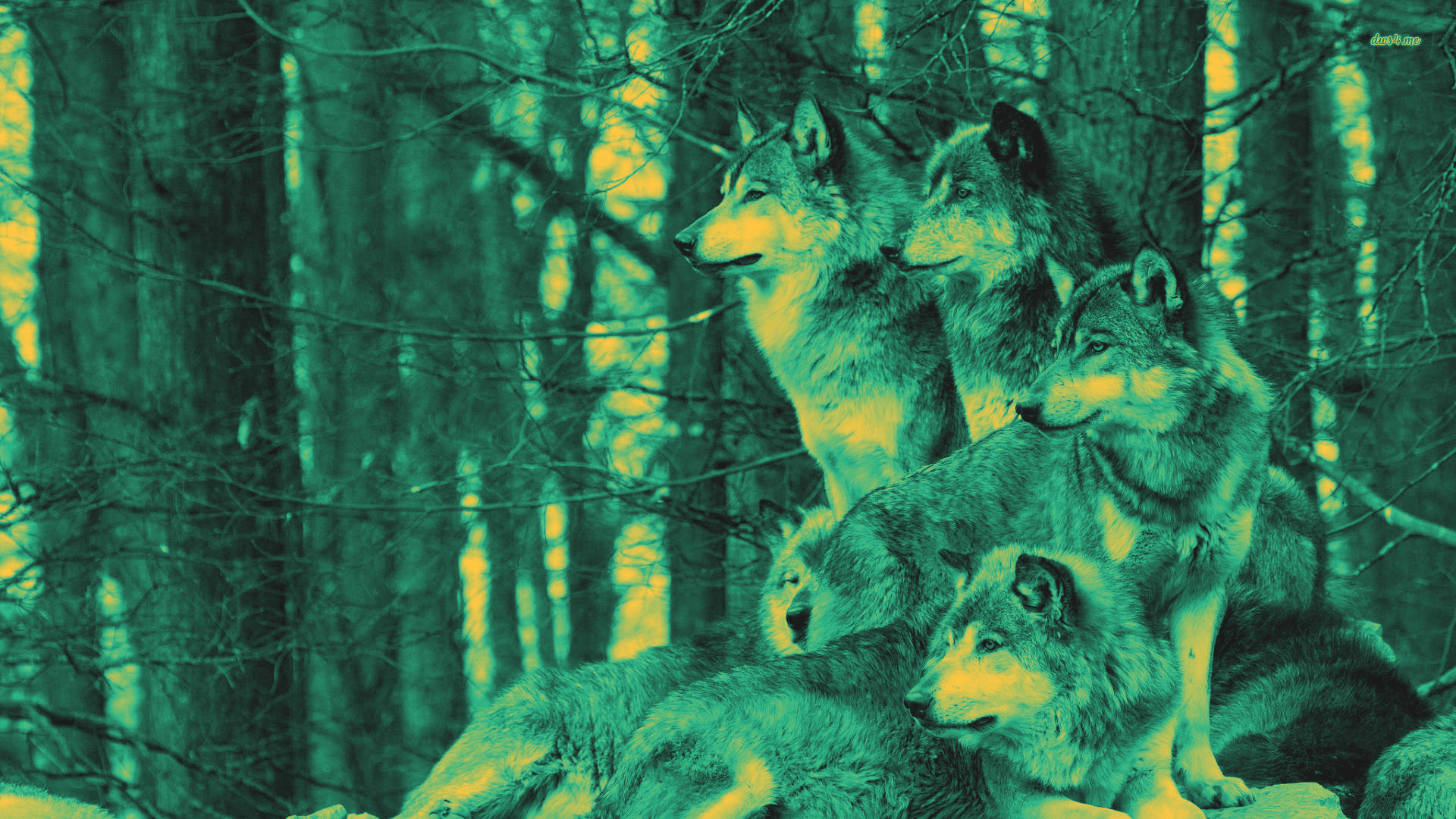 Lone Wolf Business Concierge - Digital Marketing Agency